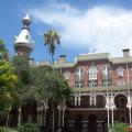 univerity of tampa