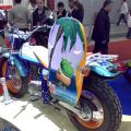 motociclebody