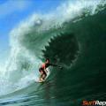 Shark-wave